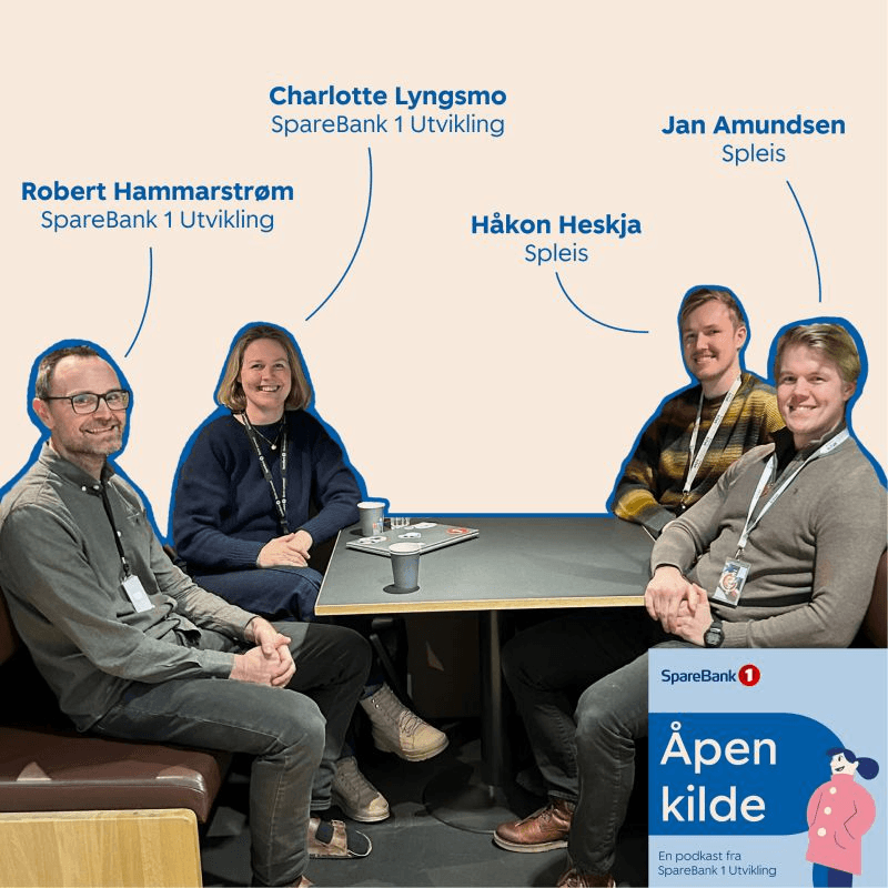 Organisasjonens bilde